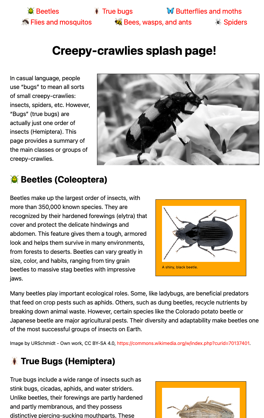 Our example splash page